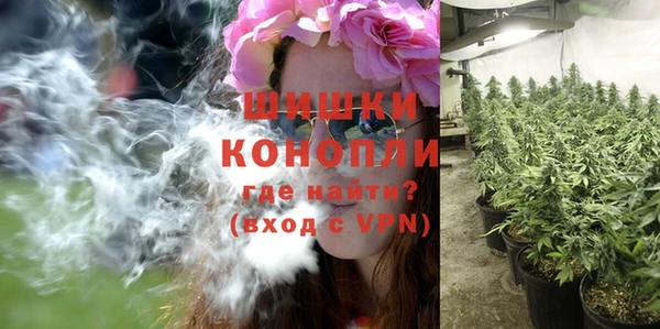 дурь Дмитров