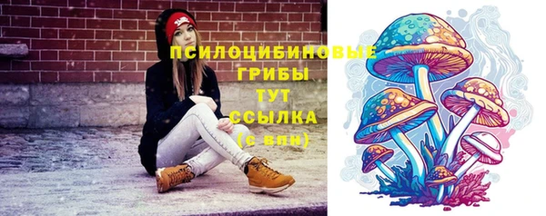 дурь Дмитров