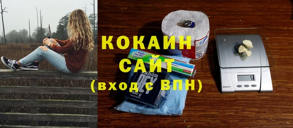 бошки Дмитриев