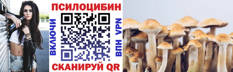 Псилоцибиновые грибы прущие грибы  цены   Гремячинск 
